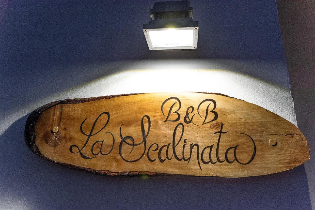 マリーナ・ディ・マンカヴェルサ La Scalinata Bed & Breakfast エクステリア 写真